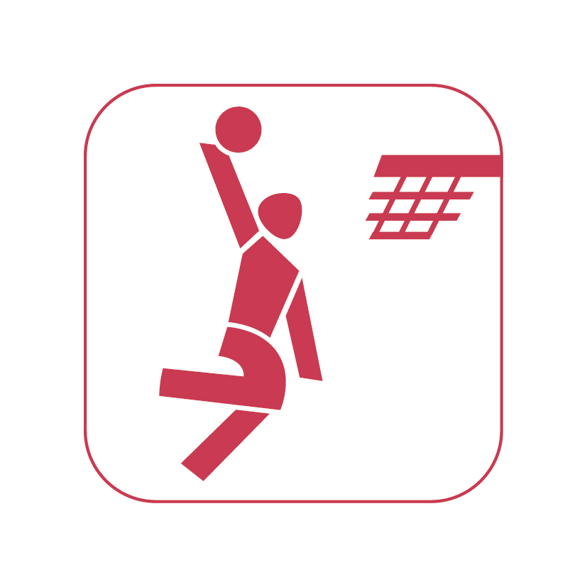 icon basketball rot auf weiss 50mm rgb 300dpi