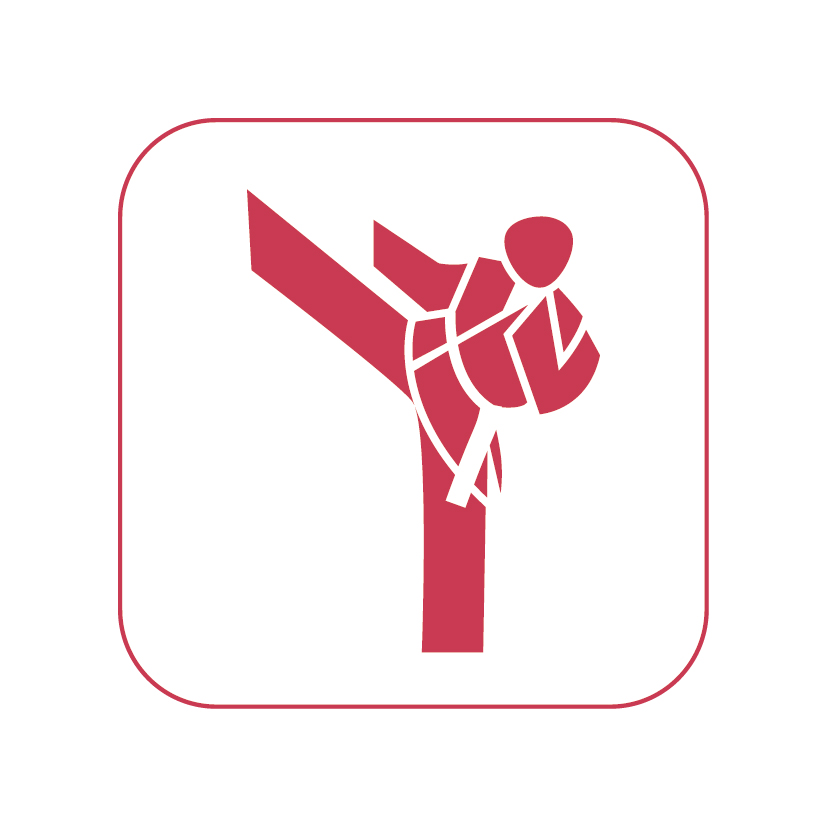icon karate rot auf weiss 50mm rgb 300dpi