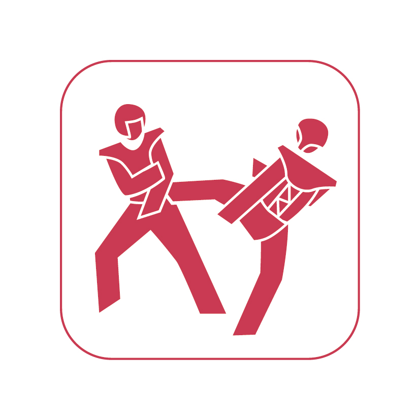 icon taekwondo rot auf weiss 50mm rgb 300dpi